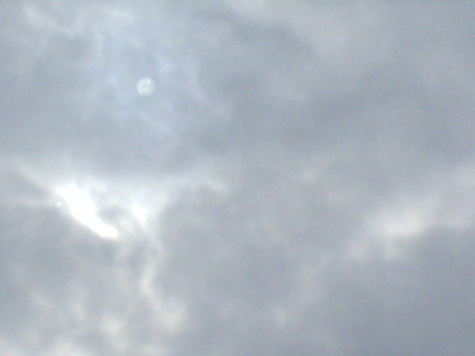 DSC00317.JPG